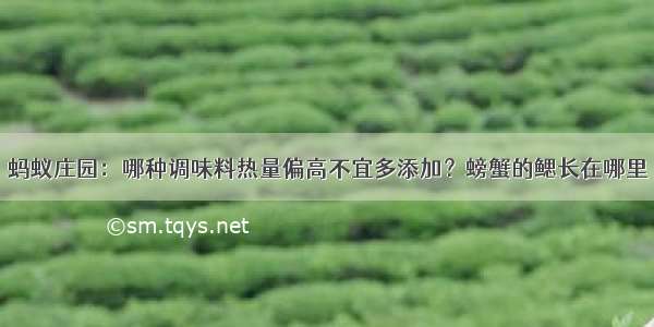 蚂蚁庄园：哪种调味料热量偏高不宜多添加？螃蟹的鳃长在哪里