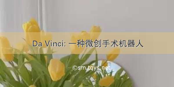 Da Vinci: 一种微创手术机器人