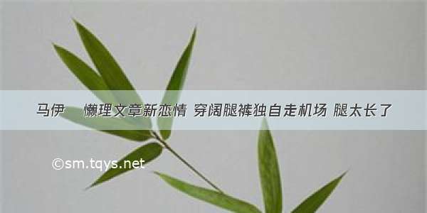 马伊琍懒理文章新恋情 穿阔腿裤独自走机场 腿太长了