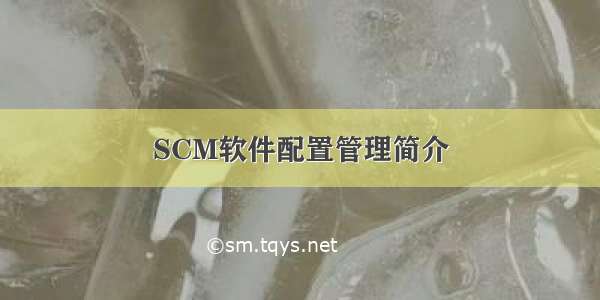 SCM软件配置管理简介