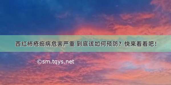 西红柿疮痂病危害严重 到底该如何预防？快来看看吧！