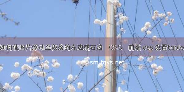 html如何使图片浮动至段落的左边或右边 – CSS – 前端 css 设置table边框