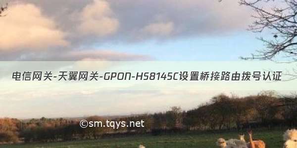 电信网关-天翼网关-GPON-HS8145C设置桥接路由拨号认证