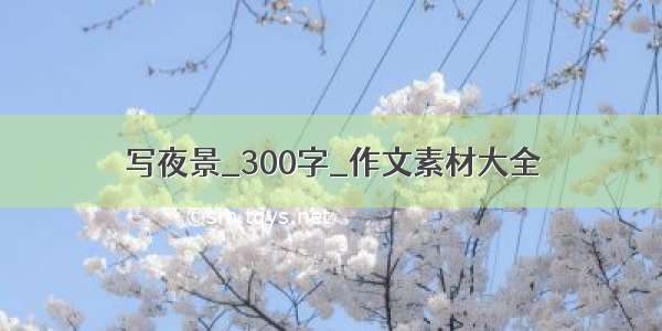 写夜景_300字_作文素材大全