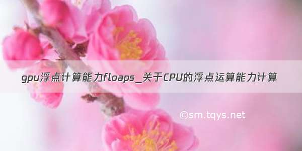 gpu浮点计算能力floaps_关于CPU的浮点运算能力计算