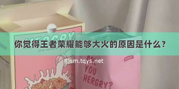 你觉得王者荣耀能够大火的原因是什么？