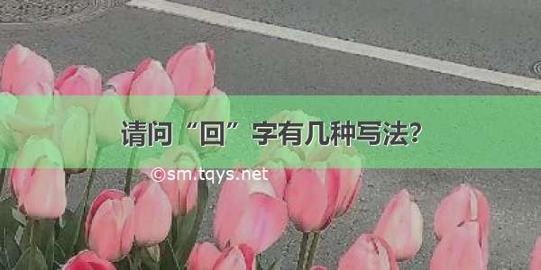 请问“回”字有几种写法？