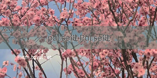 pause键 Pause键
