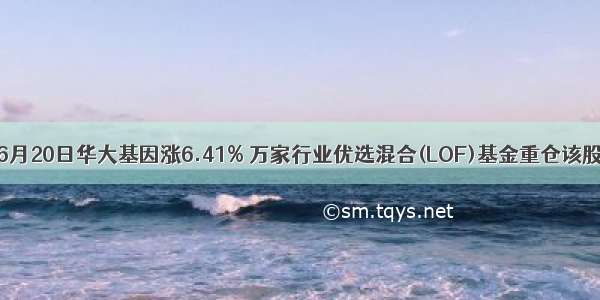 6月20日华大基因涨6.41% 万家行业优选混合(LOF)基金重仓该股