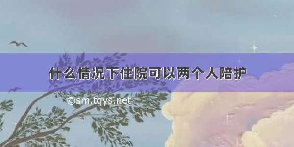 什么情况下住院可以两个人陪护