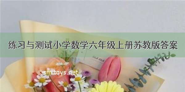 练习与测试小学数学六年级上册苏教版答案