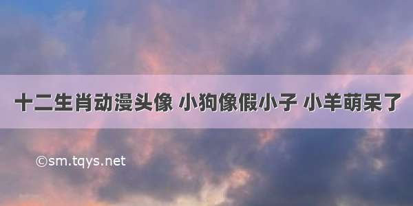 十二生肖动漫头像 小狗像假小子 小羊萌呆了