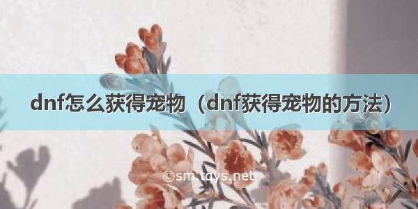 dnf怎么获得宠物（dnf获得宠物的方法）