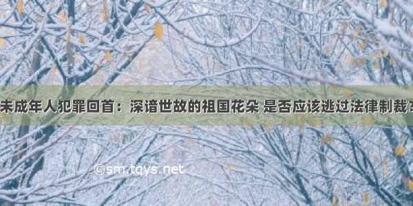 未成年人犯罪回首：深谙世故的祖国花朵 是否应该逃过法律制裁？