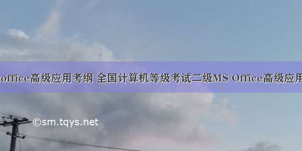 计算机二级office高级应用考纲 全国计算机等级考试二级MS Office高级应用考试大纲...