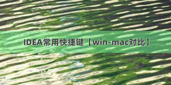 IDEA常用快捷键【win-mac对比】