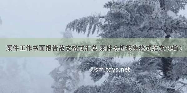 案件工作书面报告范文格式汇总 案件分析报告格式范文(9篇)