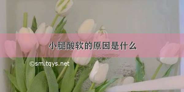 小腿酸软的原因是什么