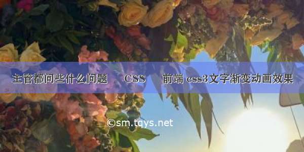 主管都问些什么问题 – CSS – 前端 css3文字渐变动画效果