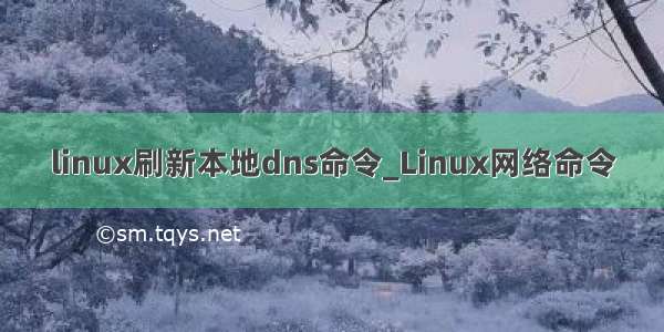 linux刷新本地dns命令_Linux网络命令