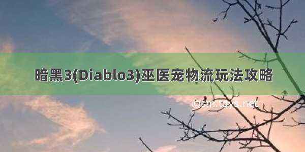 暗黑3(Diablo3)巫医宠物流玩法攻略