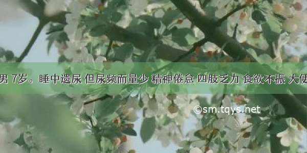 患儿 男 7岁。睡中遗尿 但尿频而量少 精神倦怠 四肢乏力 食欲不振 大便易溏 