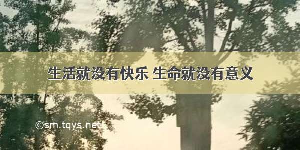 生活就没有快乐 生命就没有意义