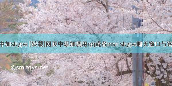 html页面中加skype [转载]网页中添加调用qq或者msn skype聊天窗口与客服进行互