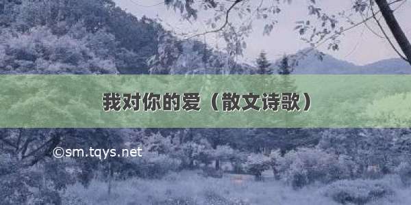 我对你的爱（散文诗歌）