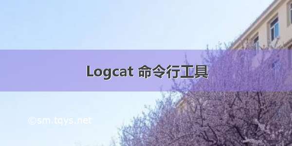 Logcat 命令行工具