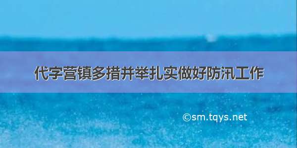 代字营镇多措并举扎实做好防汛工作