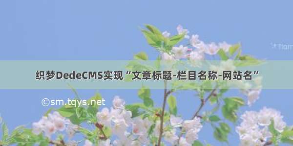 织梦DedeCMS实现“文章标题-栏目名称-网站名”