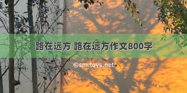 路在远方 路在远方作文800字