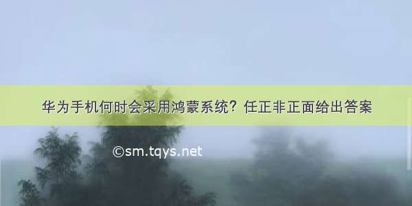 华为手机何时会采用鸿蒙系统？任正非正面给出答案