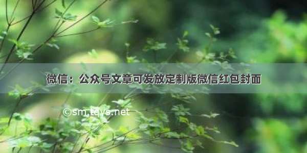 微信：公众号文章可发放定制版微信红包封面