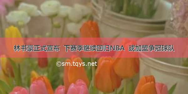 林书豪正式宣布  下赛季继续回归NBA  或加盟争冠球队