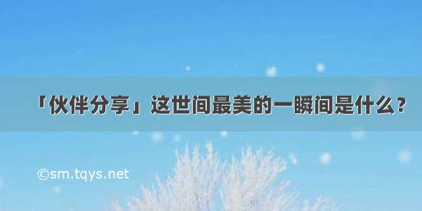 「伙伴分享」这世间最美的一瞬间是什么？