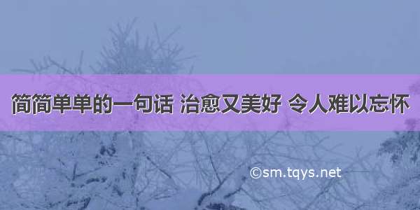 简简单单的一句话 治愈又美好 令人难以忘怀