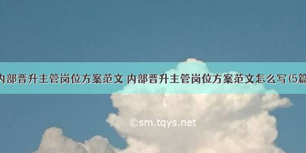 内部晋升主管岗位方案范文 内部晋升主管岗位方案范文怎么写(5篇)