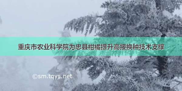 重庆市农业科学院为忠县柑橘提升高接换种技术支撑