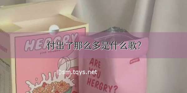 付出了那么多是什么歌?