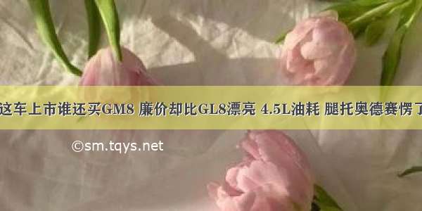 这车上市谁还买GM8 廉价却比GL8漂亮 4.5L油耗 腿托奥德赛愣了