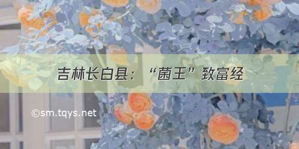 吉林长白县：“菌王”致富经