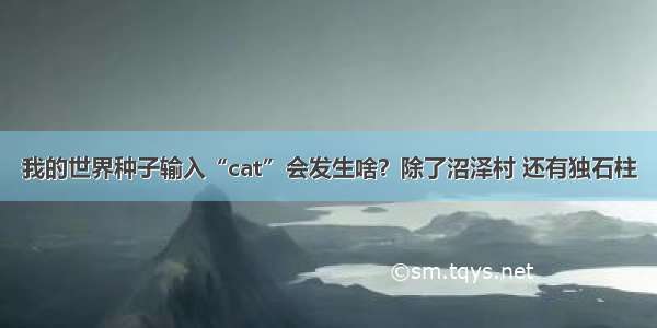 我的世界种子输入“cat”会发生啥？除了沼泽村 还有独石柱