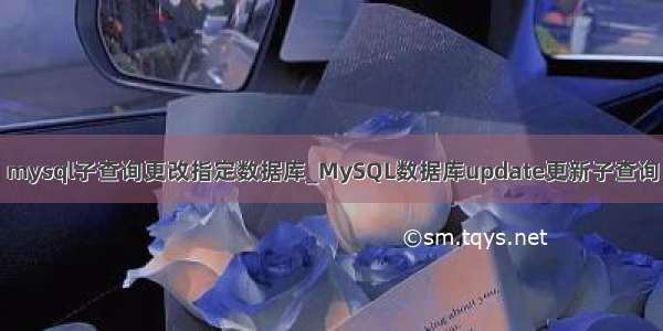 mysql子查询更改指定数据库_MySQL数据库update更新子查询