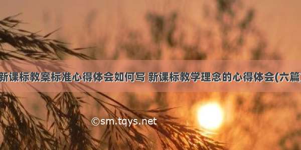 新课标教案标准心得体会如何写 新课标教学理念的心得体会(六篇)