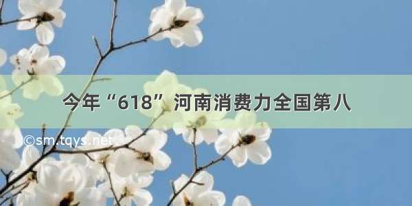 今年“618” 河南消费力全国第八