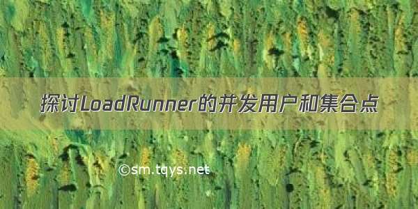 探讨LoadRunner的并发用户和集合点