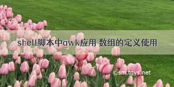 shell脚本中awk应用 数组的定义使用