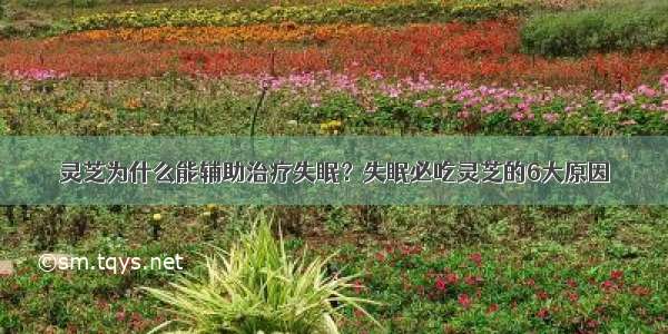 灵芝为什么能辅助治疗失眠？失眠必吃灵芝的6大原因